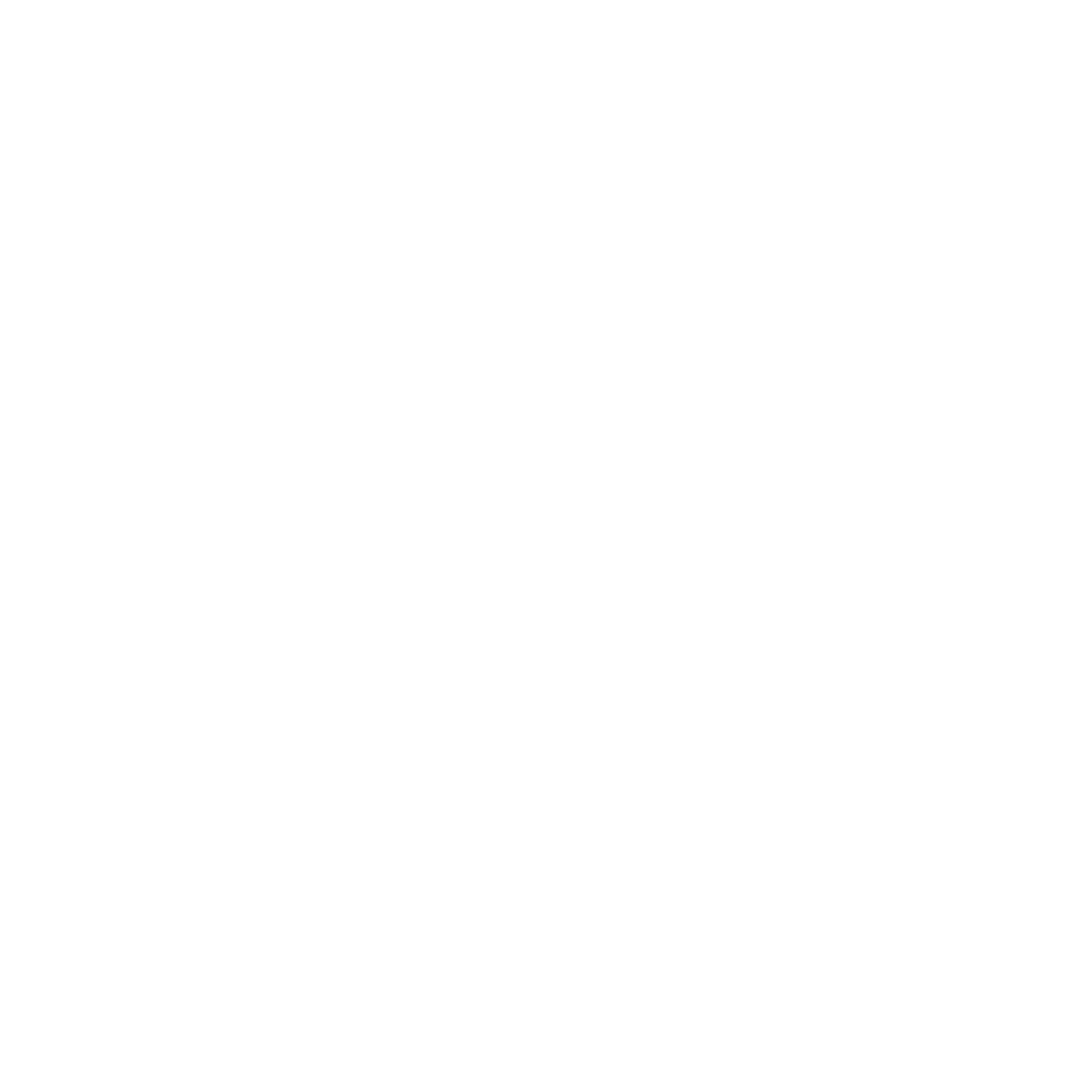 Sanni Fitness